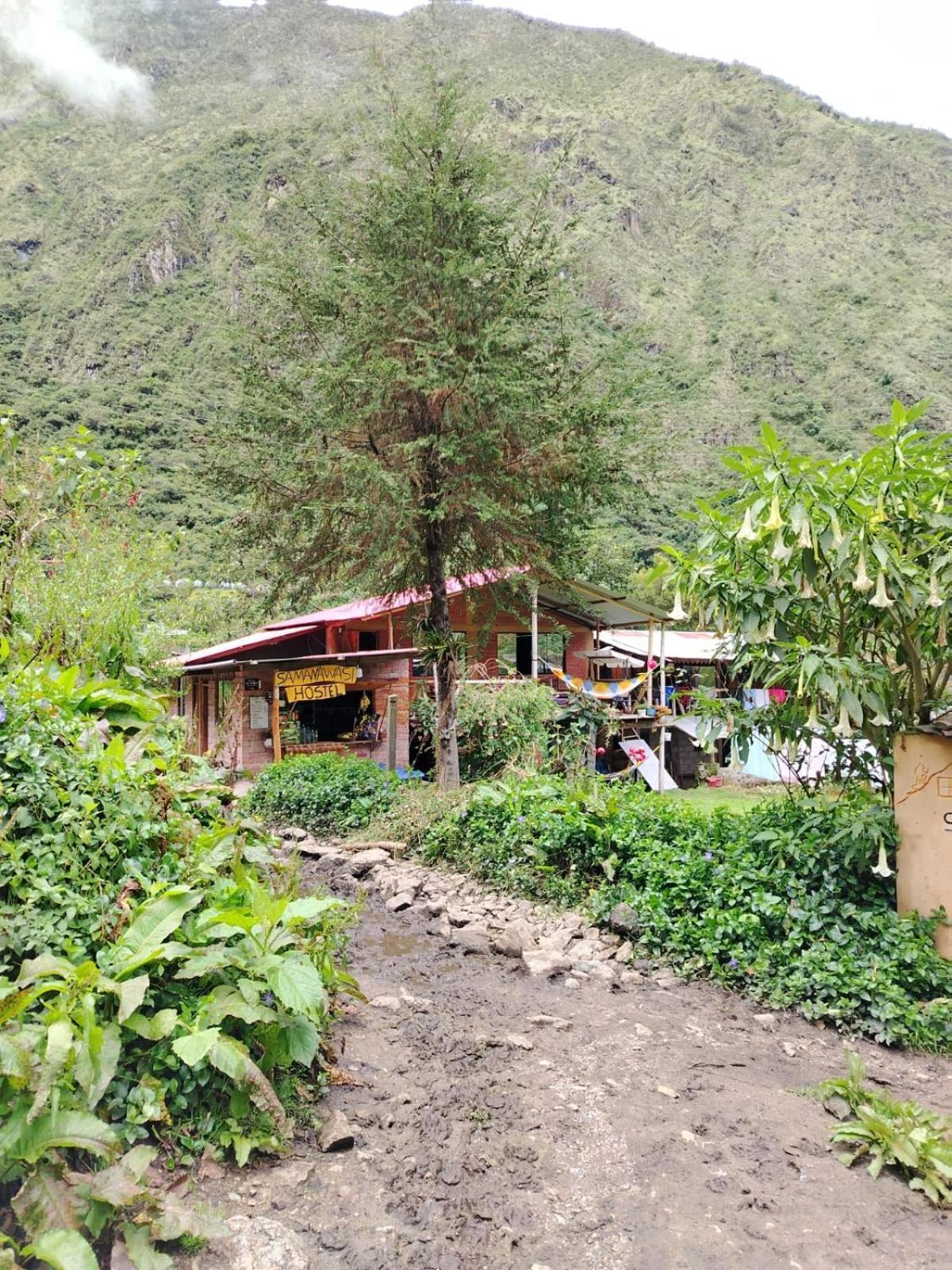 Hostel Samana Wasi Chaullay クスコ エクステリア 写真