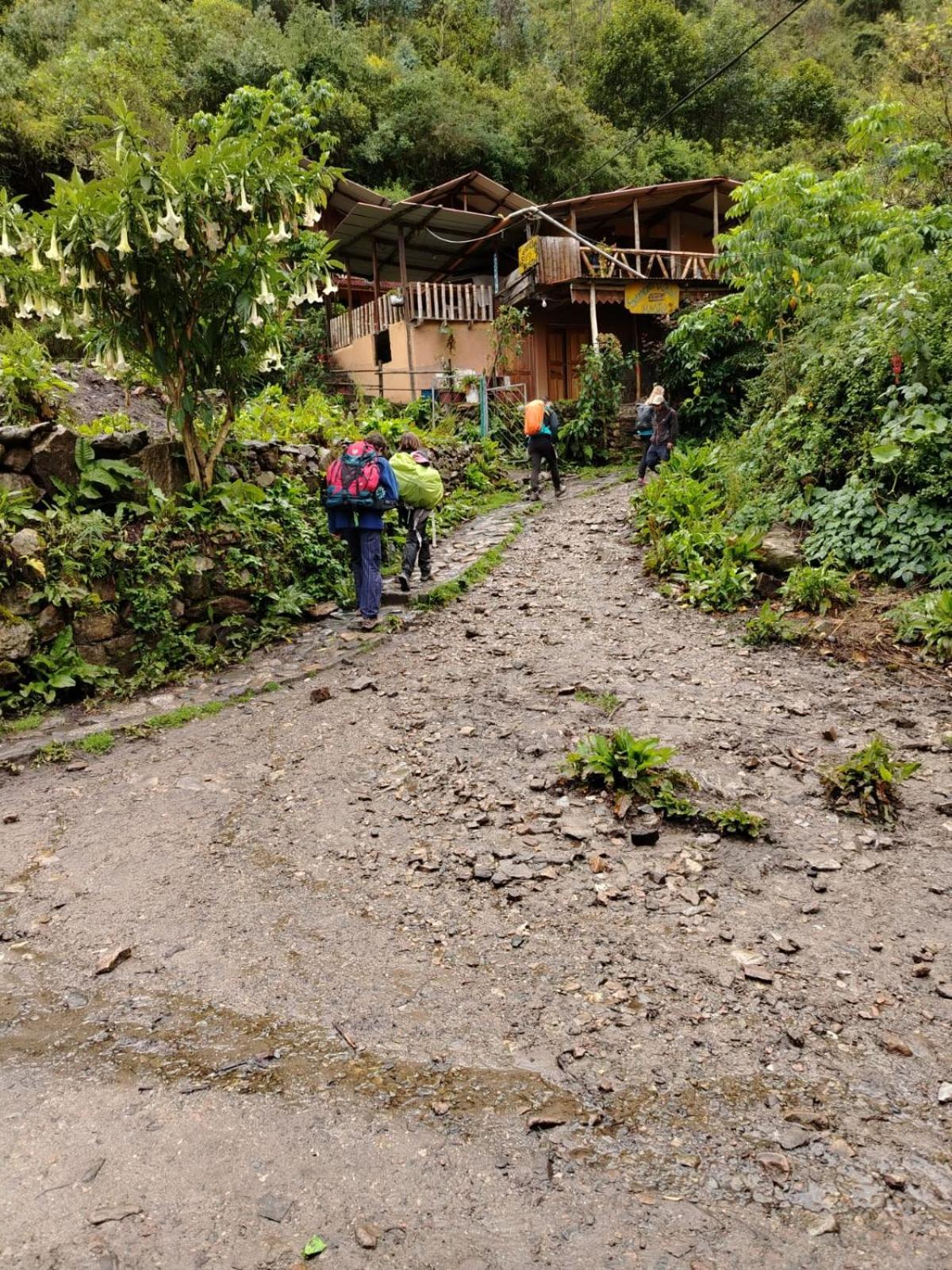 Hostel Samana Wasi Chaullay クスコ エクステリア 写真