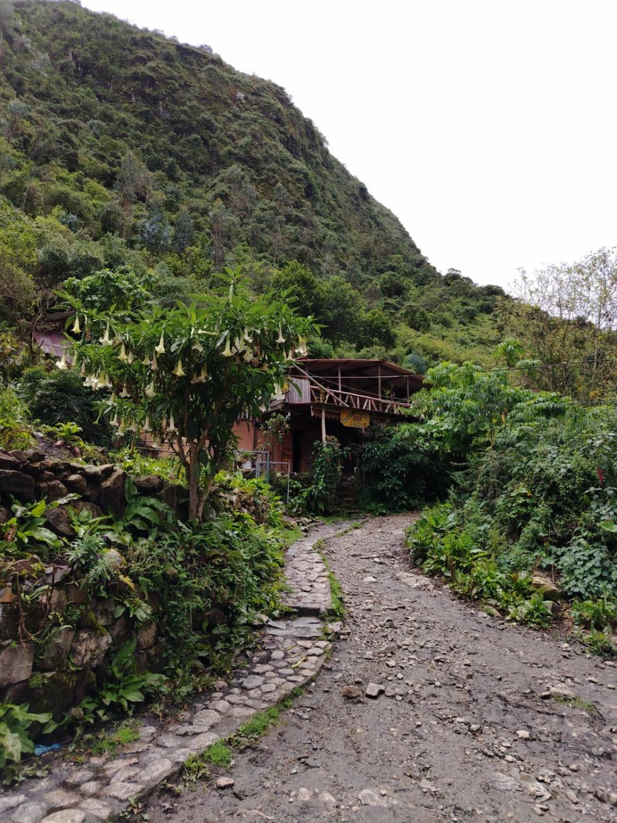 Hostel Samana Wasi Chaullay クスコ エクステリア 写真